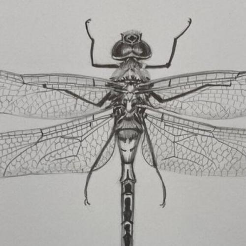 สมาชิกหมายเลข 1885006