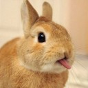 สมาชิกหมายเลข 3756056