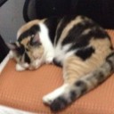 สมาชิกหมายเลข 4120909