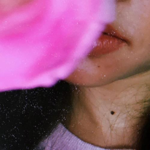 สมาชิกหมายเลข 4428549