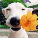 สมาชิกหมายเลข 3129754