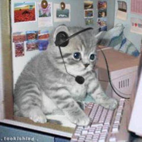 สมาชิกหมายเลข 4633781