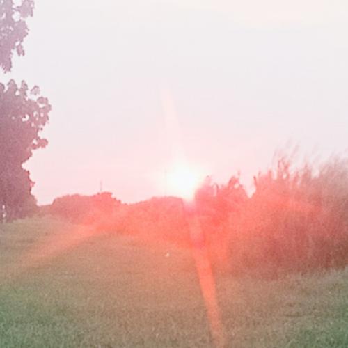 สมาชิกหมายเลข 6450761