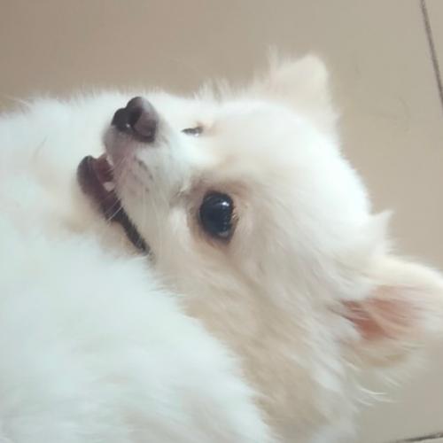 สมาชิกหมายเลข 7943159