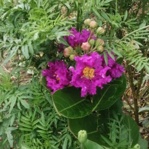 สมาชิกหมายเลข 3643262