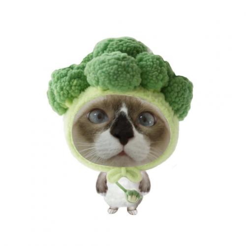 ดูแพนด้า