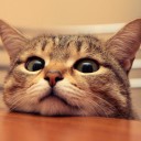 สมาชิกหมายเลข 3756391