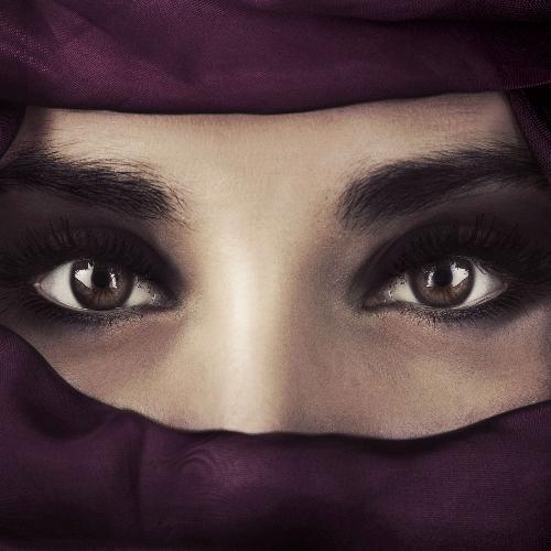 สมาชิกหมายเลข 3217153