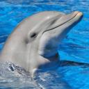 สมาชิกหมายเลข 3452312