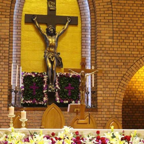 สมาชิกหมายเลข 4613390