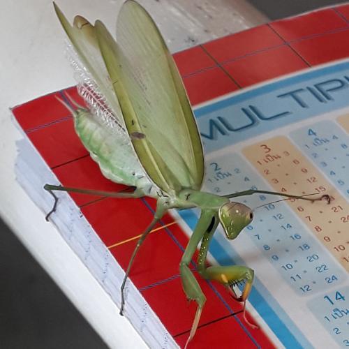 สมาชิกหมายเลข 3376355