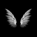 สมาชิกหมายเลข 5363561