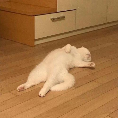 สมาชิกหมายเลข 5060691