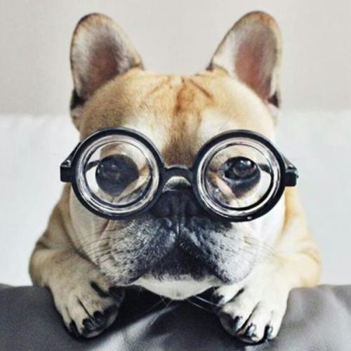 สมาชิกหมายเลข 5850049