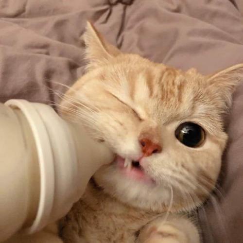 สมาชิกหมายเลข 5614937