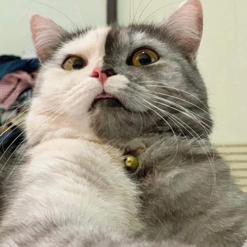 สมาชิกหมายเลข 6569914