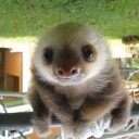 สมาชิกหมายเลข 4220421