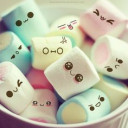 สมาชิกหมายเลข 4613616