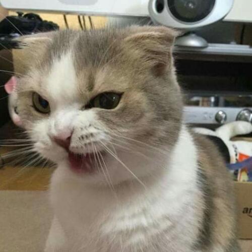 สมาชิกหมายเลข 4959284