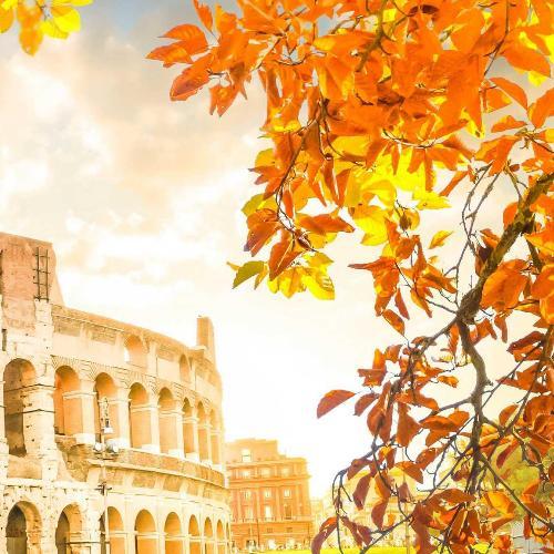 สมาชิกหมายเลข 5363903