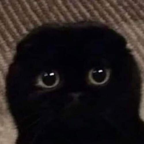 สมาชิกหมายเลข 5789532