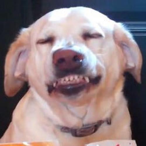 สมาชิกหมายเลข 3238090