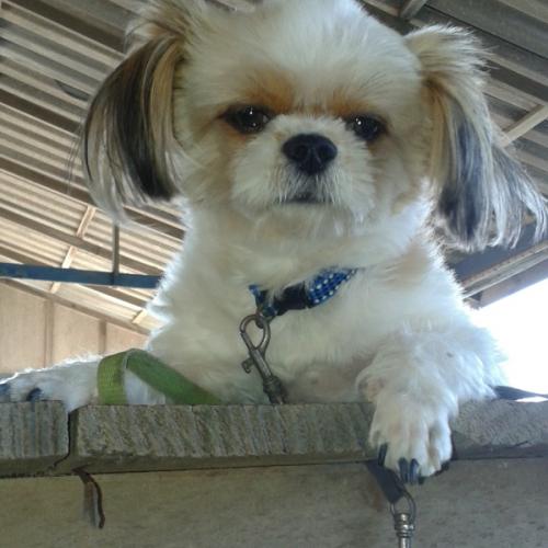 สมาชิกหมายเลข 4845995