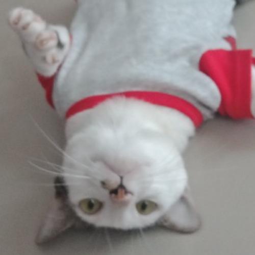 สมาชิกหมายเลข 7151397