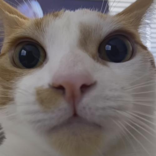 สมาชิกหมายเลข 7937003