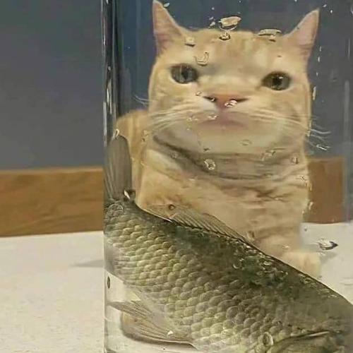 สมาชิกหมายเลข 7944666