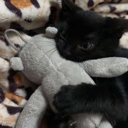 สมาชิกหมายเลข 8969120