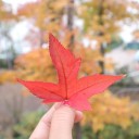 สมาชิกหมายเลข 3531117