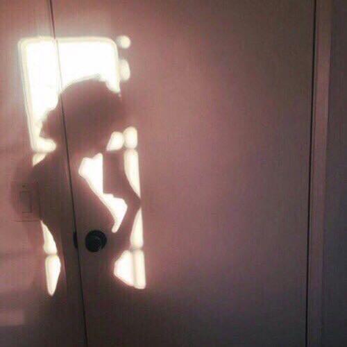 สมาชิกหมายเลข 2709436