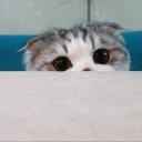 สมาชิกหมายเลข 3724498