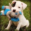 สมาชิกหมายเลข 4220972