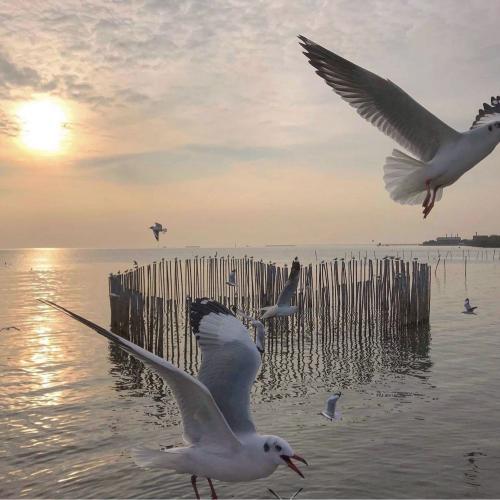 สมาชิกหมายเลข 4614117