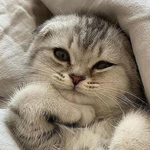 สมาชิกหมายเลข 5443977