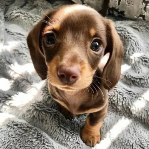 รู้ทุกเรื่องยกเว้นเรื่องตัวเอง