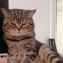 สมาชิกหมายเลข 3066328