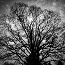 สมาชิกหมายเลข 3743854