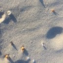 สมาชิกหมายเลข 3757299