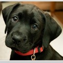 สมาชิกหมายเลข 3757481