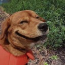 สมาชิกหมายเลข 2803407