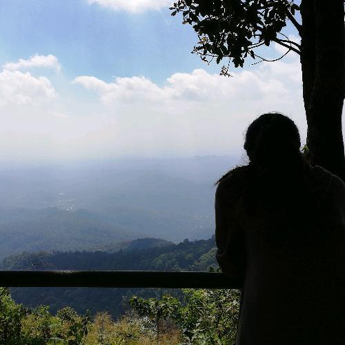 สมาชิกหมายเลข 3106757