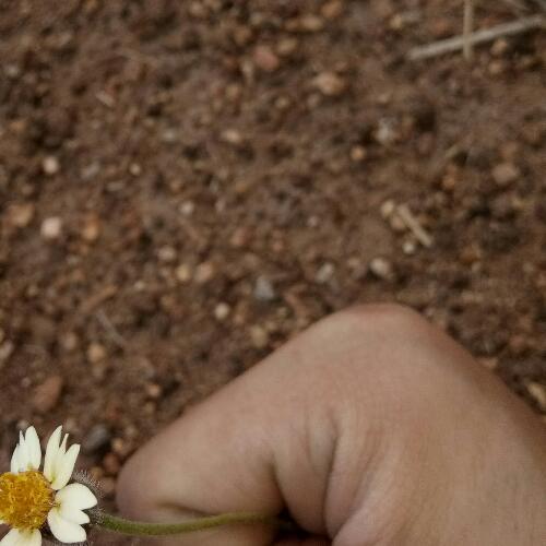 สมาชิกหมายเลข 4614177