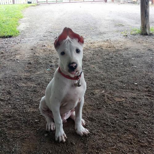 สมาชิกหมายเลข 4614217