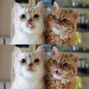 สมาชิกหมายเลข 1999245