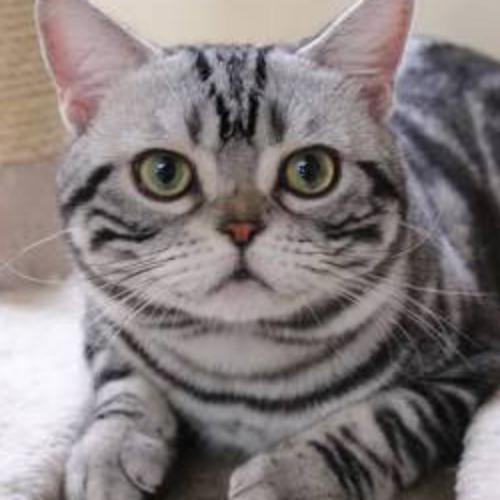 สมาชิกหมายเลข 3741473