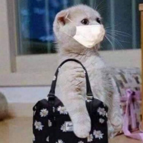 สมาชิกหมายเลข 5841848