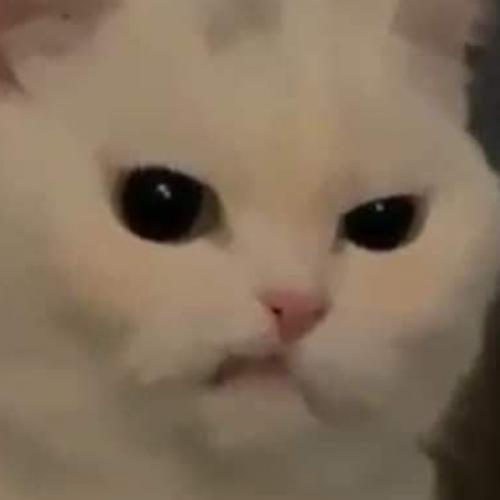 สมาชิกหมายเลข 4078644